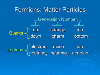Fermions: Matter Particles