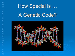 How special is a genetic code?