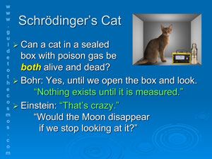 Schrodinger's Cat Thought Experiment.
